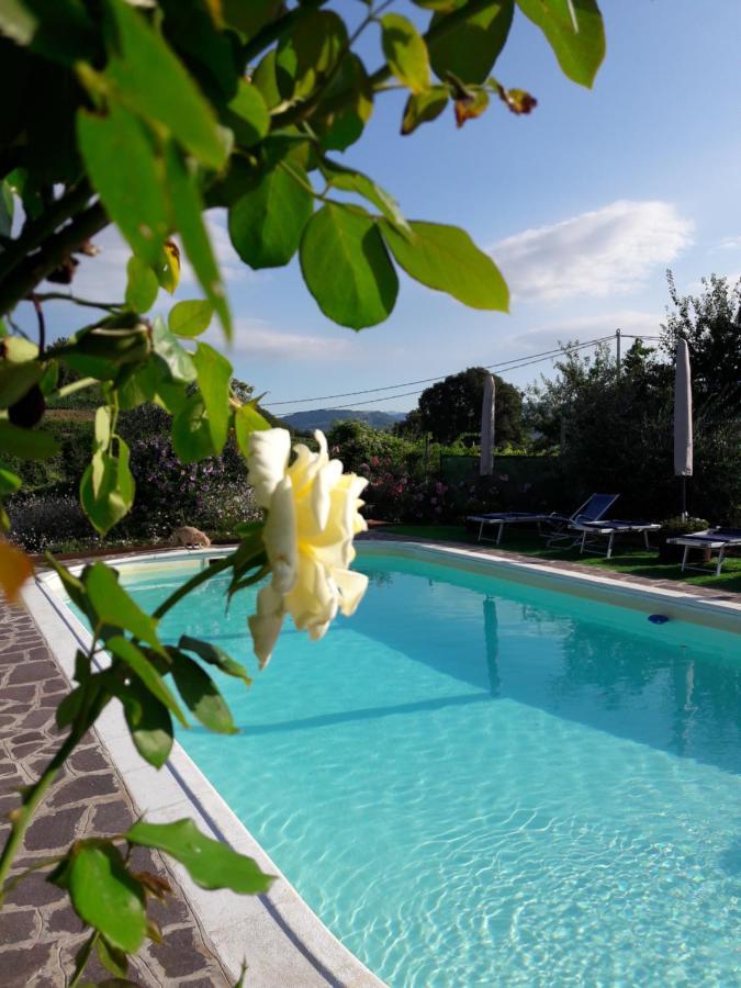 Corte Soave Montecchia di Crosara Εξωτερικό φωτογραφία